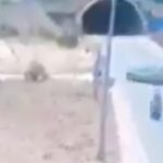 Bakan Yerlika'yı duyurdu! “Ne yazık ki, partinin 3. gününde yangın 2 sobaya düştü”