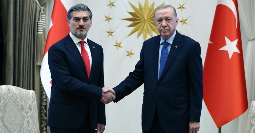 Gürcistan Başkanı: Erdoğan'ın barış rolü son derece önemlidir