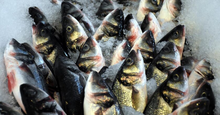 Muğla'dan 9 ayda 545 milyon dolarlık balık ihracatı yapıldı