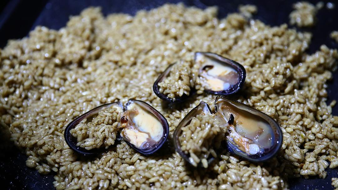 MYNET ÖZEL | Herkes aynı şeyi merak ediyordu! Çünkü ölüm haberi sadece Böcek Ailesi'nden geldi! Uzmanın adı yanıtladı... 3