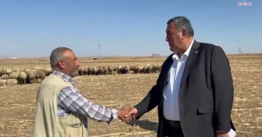 Ömer Fethi Gürer: “Hayvan popülasyonunun azalmasından kaynaklanan sorunları ithalatla çözmeye çalışıyoruz” – Son Dakika Siyaset Haberleri