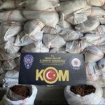 Adana'da bir tırda 10 ton kaçak tütün ele geçirildi